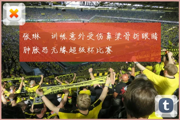 张琳芃训练意外受伤鼻梁骨折眼睛肿胀恐无缘超级杯比赛