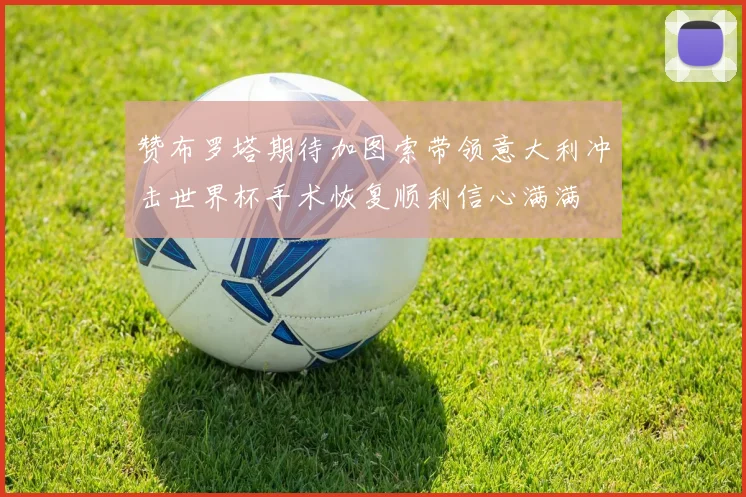 赞布罗塔期待加图索带领意大利冲击世界杯手术恢复顺利信心满满