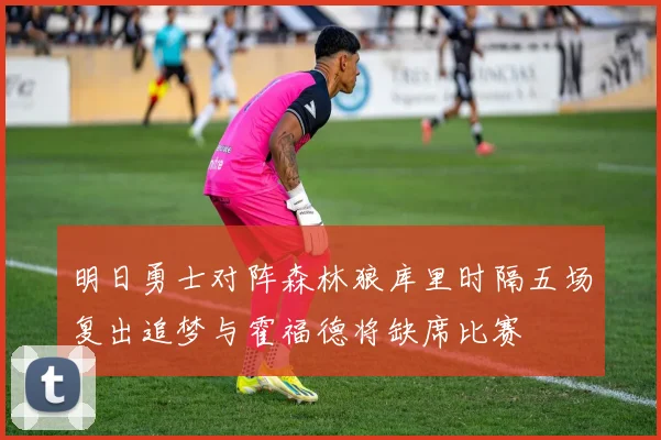明日勇士对阵森林狼库里时隔五场复出追梦与霍福德将缺席比赛