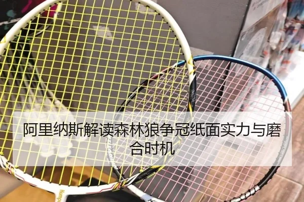 阿里纳斯解读森林狼争冠纸面实力与磨合时机 | BOYUSPORTS